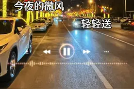 #音乐分享 #夜夜把你梦#热歌推荐视频封面