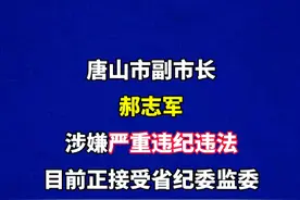 唐山市副市长郝志军被查#遵纪守法 #最新消息视频封面