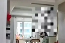 只因女子带娃公婆进来没喊“爸妈” 被公婆指责没教养 丈夫抱走孩子逼迫妻子向公婆道歉 妻子崩溃道歉只求丈夫把宝宝还给她 女子目前已安全回娘家 网友：到底是养得多么“优秀”的儿子 竟然能用孩子来拿捏一个母亲 #家庭 #母亲 #公婆 #家视频封面