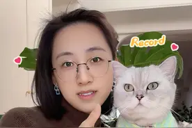 简单 3 步，0 厨艺就能做出草莓巧克力脆皮瑞士卷 #会做饭的猫 #草莓 #瑞士卷视频封面