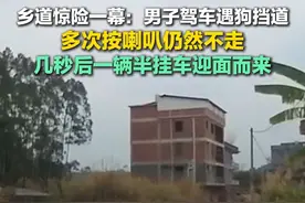 2月20日（采访），广西钦州，男子乡道开车遇狗挡道，多次按喇叭也不走，几秒后一辆半挂车迎面而来，“我还挺感谢它的！”#狗视频封面