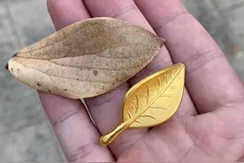 这是摇钱树上长的叶子吗？ #黄金 #树叶视频封面