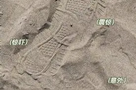 这个蜱虫是怎么能追着人跑的？有点意外！#神奇动物在抖音 #意不意外 #蜱虫 #蜱虫追人 #沙漠