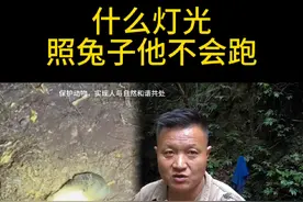 晚上用灯光看兔子。多大的兔子不会跑？什么样的灯光照到兔子它不会跑？什么样的天气用灯光照到兔子它不会跑。#户外 #兔子 #农村生活