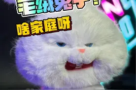 1000多的毛绒公仔！Fictus兔老大 #兔老大 #手办 #宠物大机密 #毛绒公仔视频封面