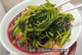 朋友们，你们炒苋菜要不要焯水的？#苋菜 #苋菜的家常做法