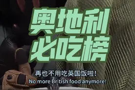 奥地利必吃榜来了，再也不用吃英国佬的饭了！#覆面乙女圈 #覆面 #克鲁格 #小柯 #日常分享