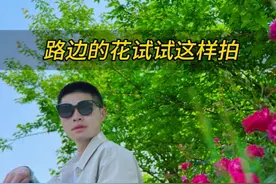 路边的花试试这样拍 看到路边的花，教你一个人怎么轻松给自己自拍美照#拍花技巧 #自拍技巧#拍摄技巧