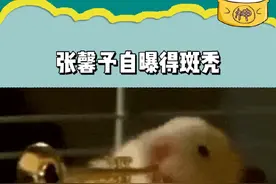 原来女明星也有秃头烦恼！这下可以跟着大家学生发了#张馨予 #斑秃 #发际线 #脱发视频封面