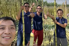 黄金甘蔗三部曲【上】：里面真的有黄金，我一个兄弟今年靠它挣了1000万！#黄金甘蔗 #2024新农人计划 #水果里的中国视频封面