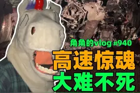人没事…车烧没了…洛圣都高速惊魂…#毒角SHOW美国高速SUV自燃视频封面