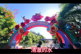 乌鲁木齐新宠！新疆天选长安花博会正式迎客~乌鲁木齐新宠视频封面