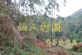 仙人打网，曾子南作品！#风水玄学 #玄学