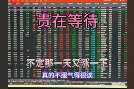 不见上证指数开门红，但不定那天又有大阳线。贵在等待。