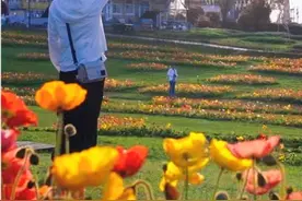 这个四月总要去趟武汉吧，去感受下过早的烟火气视频封面