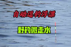 “自动逗钓浮漂”野钓微走水，简直是绝配，大鱼连竿钓过瘾