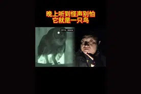 夜调和走山路的兄弟们，你们晚上听到恐怖的声音别怕，其实他就是一只鸟，#户外#农村生活#野猪#鸟#猫头鹰