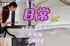 论一台“清洁工”是如何被我榨干的 #打扫卫生 #做家务 #日常vlog #布艺清洗机视频封面