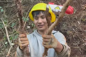 四期工程开工兄弟们，土太硬了#野生山药 #新农人2024计划 #新农人小飞 #土木工程视频封面