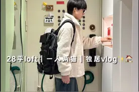 不谈恋爱不结婚一人两猫住28平loft太爽啦‼️ #沉浸式回家 #独居生活 #vlog日常视频封面