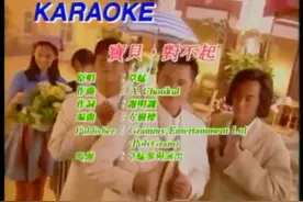 《宝贝对不起》是中国香港演唱组合草蜢演唱的一首歌曲，由A.视频封面