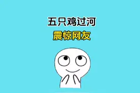 网友: 活了这么久竟然被五只鸡上了一课 #涨知识视频封面