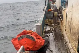 今天和老公出海，接连两网都打了麻烦，看来大风扇这个地方不好拉呀，还是换地方吧#渔民生活实拍 #出海捕鱼 #带你去体验渔民的生活 #主打真实 #讨海人的艰辛视频封面