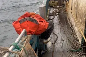 今天和老公出海，接连两网都打了麻烦，看来大风扇这个地方不好拉呀，还是换地方吧#渔民生活实拍 #出海捕鱼 #带你去体验渔民的生活 #主打真实 #讨海人的艰辛视频封面
