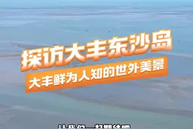 涨潮落，退潮现，一起感受家乡大丰的神奇海岛吧#盐城大丰#我为家乡代言#抖出你的家乡#带你去看海#故乡的原风景 @DOU+小助手视频封面
