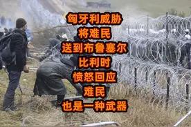 匈牙利威胁将难民送到布鲁塞尔，比利时愤怒的回应！视频封面