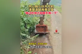 热心肠小伙@挖机人 开挖机清理道路两旁杂草：“路过的地方就顺手推一下”#正能量 #挖机视频封面