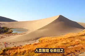 敦煌文化斗鹰大赛邀您参与，万元大奖等你来拿！视频封面