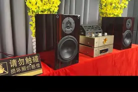 熟悉的旋律 经典的声音 #hifi音响 #书架箱 #发烧音响 #经典老歌#音响视频封面