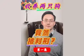 收养两只狗 竟然被判刑？ #狗 #盗窃罪 #刑事辩护 #萨摩耶 #法律常识视频封面