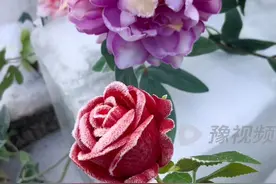 #洛阳 冰封牡丹好浪漫，我们准备了一大片！#河南dou知道 #上分了洛阳 #河南文旅 #洛阳文旅赢麻了视频封面