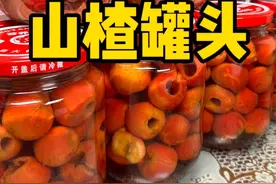 正是山楂大量上市的季节，每年这个时候婆婆都会做很多山楂罐头视频封面