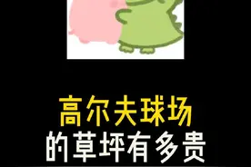 为啥有钱人都喜欢打高尔夫球呢？#高尔夫球 #有趣的知识又增长了