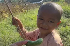 放弃国内年薪百万，裸辞来老挝做农业到底是一种什么样的体验？#老挝 #老挝农村生活 #记录海外生活 #老挝农业 #dou上热门 @抖音短视频视频封面