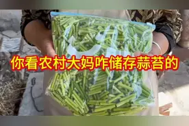 你看农村大妈是怎么储存蒜苔的，冬天也能吃到新鲜的蒜苔，真实用视频封面