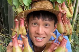 你知道这是什么吗？（可食用猪笼草，视频效果，请勿模仿）视频封面