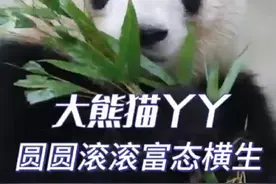 奶爸相隔20年再见丫丫掩面痛哭，丫丫喜极而泣再三确认秒变小孩！视频封面