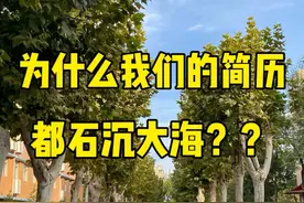 一条视频讲清楚为什么我们的简历投了都没有反应视频封面