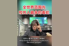 全世界范围内咬死人最多的毒蛇 全世界咬死人最多的蛇是锯鳞蝰，主要分布在亚洲和非洲，夜晚出没，30-80厘米长，5毫克毒液可致人死亡，一次分泌毒液超过12毫克，每年导致近2万人死亡。#锯鳞蝰