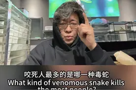 全世界范围内咬死人最多的毒蛇 全世界咬死人最多的蛇是锯鳞蝰，主要分布在亚洲和非洲，夜晚出没，30-80厘米长，5毫克毒液可致人死亡，一次分泌毒液超过12毫克，每年导致近2万人死亡。#锯鳞蝰视频封面