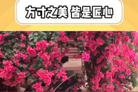 厦门珠绣的美不能困在博物馆里要体现细节中要出在人山人海里#美在方寸间发生#可逐细节之美#细节呵护#可逐细节呵护