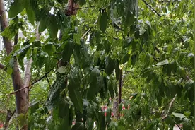 2025年9月24日8点半钟，台风如期而至，惠州大街空空荡荡