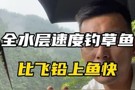 比飞铅上鱼快的全水层速度草鱼方法，钓不到草鱼快来看看 #钓草鱼 #钓鱼技巧 #滑漂 #老坛果酒玉米