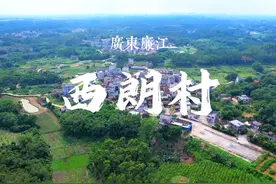 寻根问祖廉江陈氏，良垌镇西朗村，你们来过吗？#航拍 #廉江视频封面