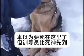 边疆军汪在大雪天里站岗执勤时，三条腿被冰冻住了，本以为会死在岗位上，但是训导员比死神先到。终于被解救了，但暂时还无法行动。致敬！守护边疆的无言英雄们。视频封面