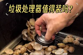 不吹不黑！垃圾处理器真实使用感受#装修 #厨房 #垃圾处理器 #厨余垃圾处理器 #垃圾处理视频封面